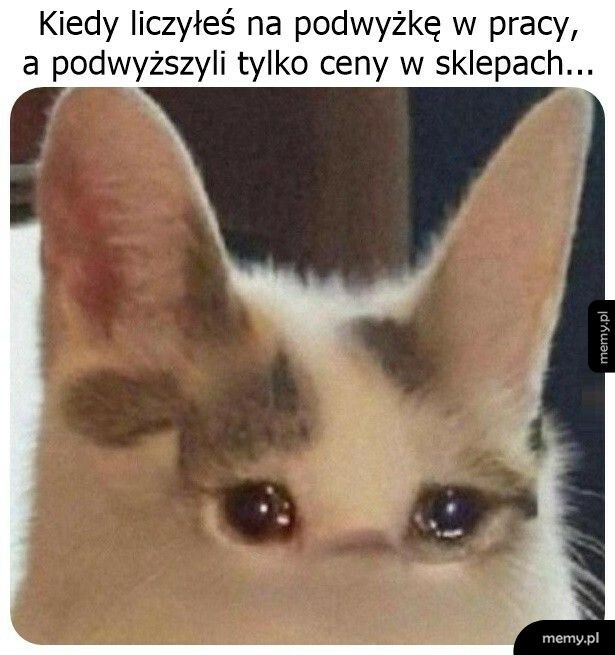 Podwyżka