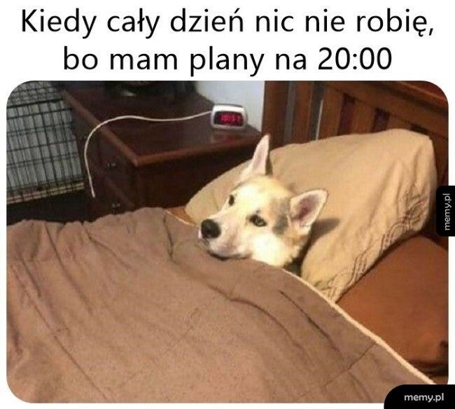 Nie opłaca się nic zaczynać