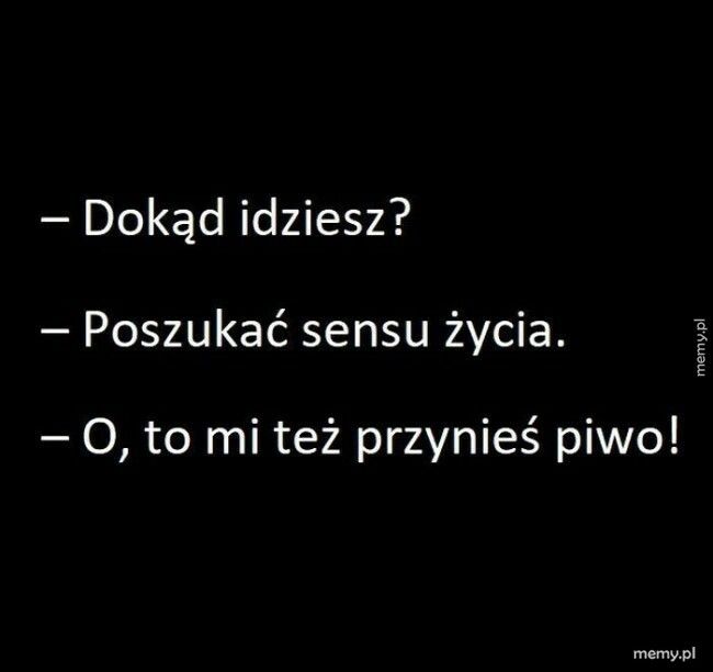 W poszukiwaniu sensu życia