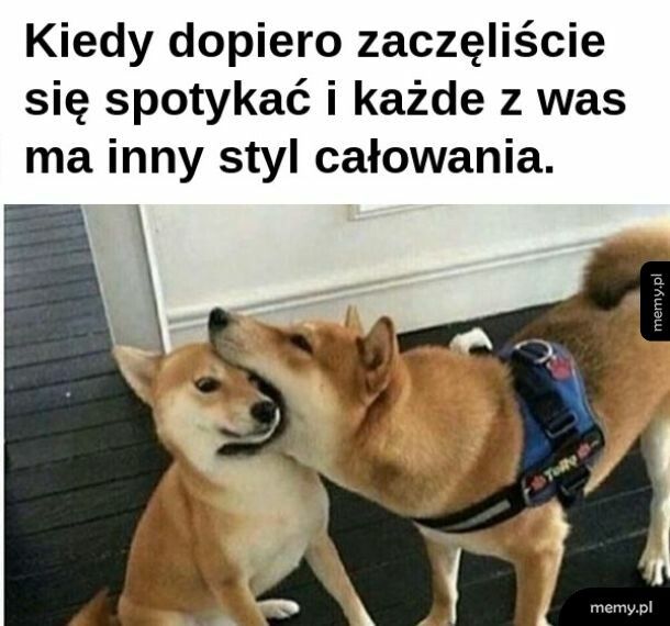 Wpisz tytuł