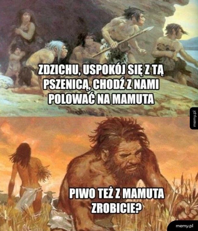 Uprawa pszenicy też jest ważna