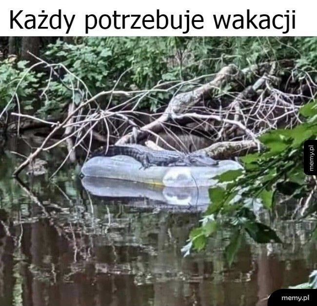 Wakacje