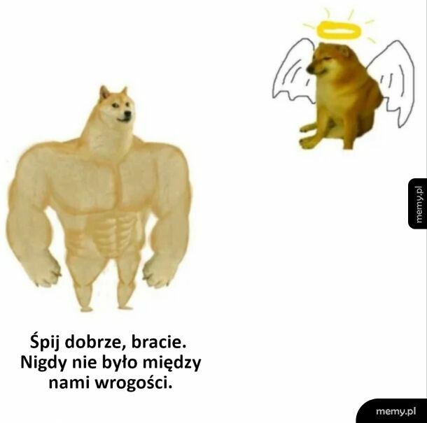 Śpij dobrze bracie