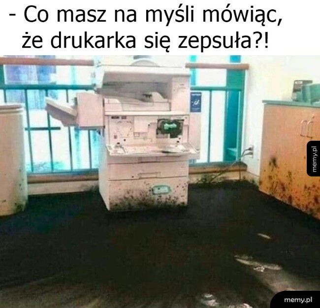 Lepiej przyjdź i zobacz