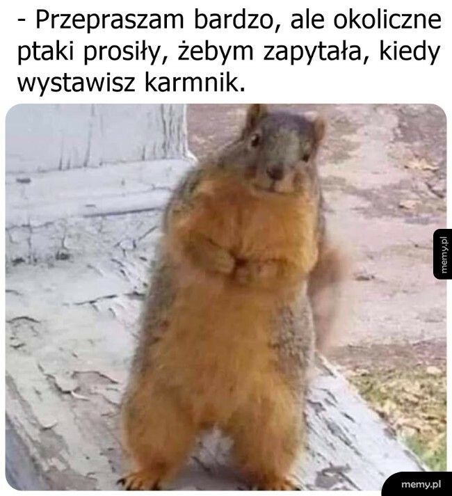 Ja z pytankiem