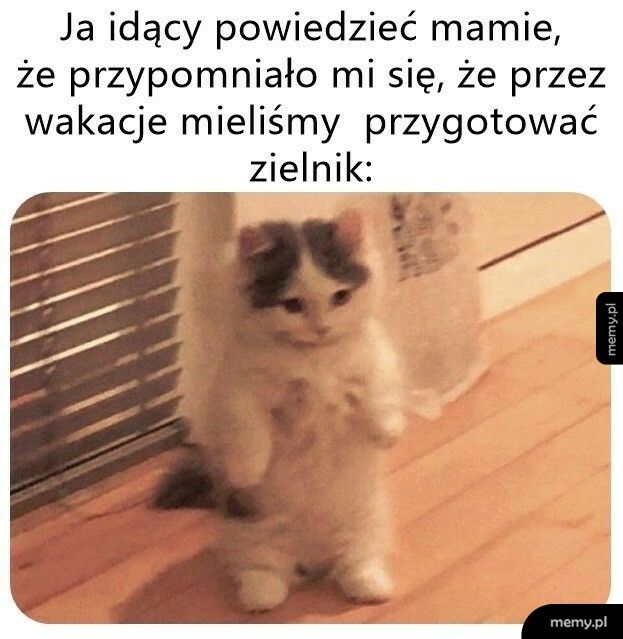 W samą porę!