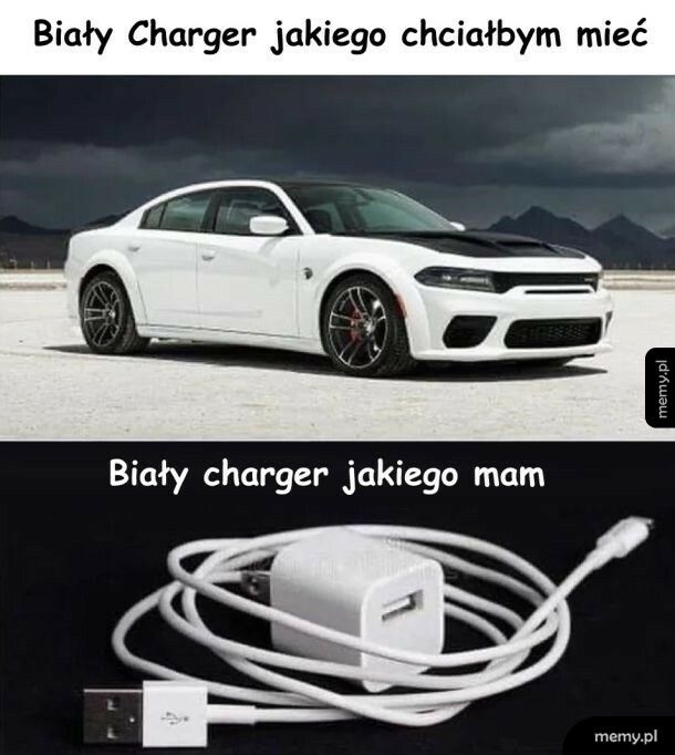 Biały charger