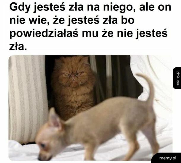 Mógłby się domyślić