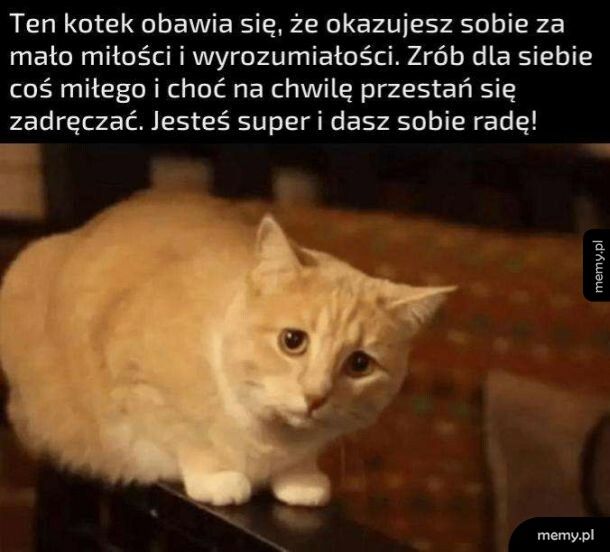 Jesteś Super