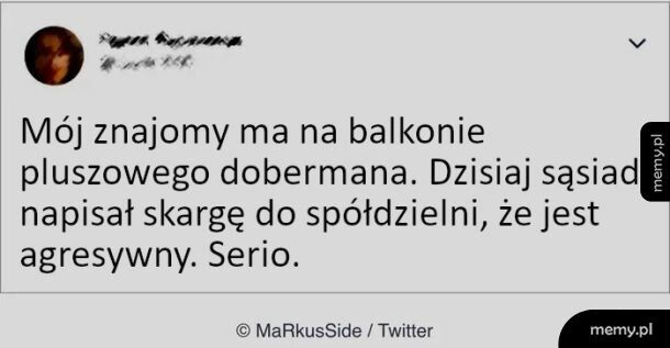 Kiedy trafisz na sąsiada debila