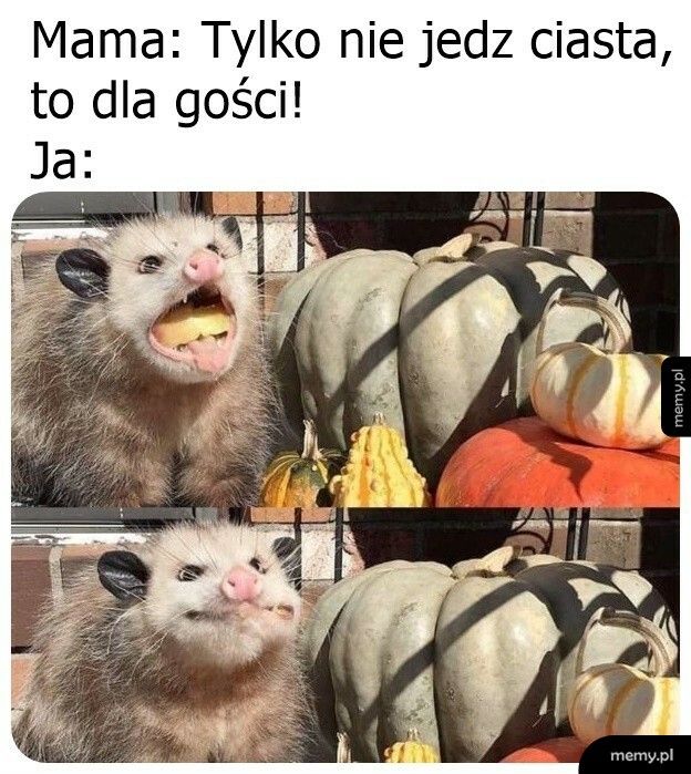 Za późno