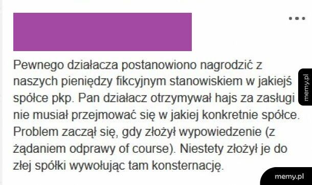 Pan działacz