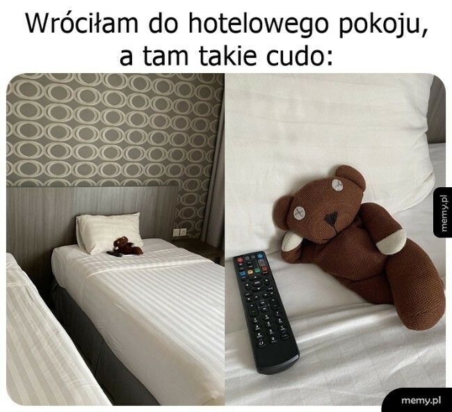 Niespodzianka w pokoju hotelowym