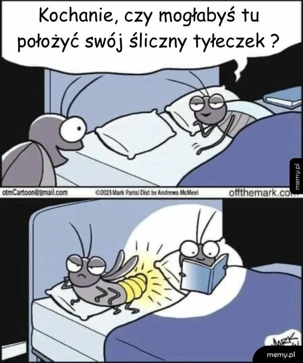 Świetliki