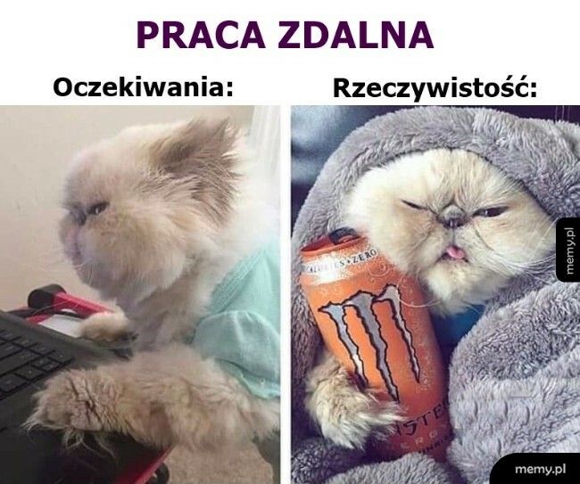 Praca zdalna