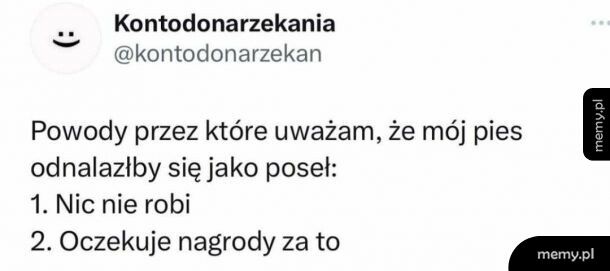 Mój pies na posła