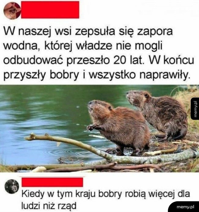 Bobry