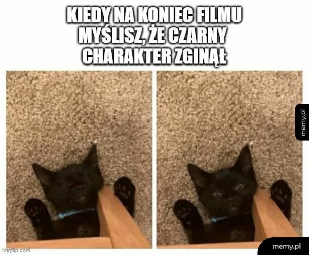 Nic z tego! Dawaj saszetę