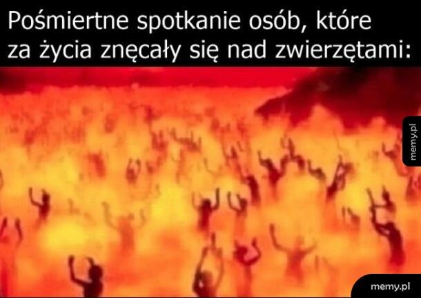 Odpowiedzialność