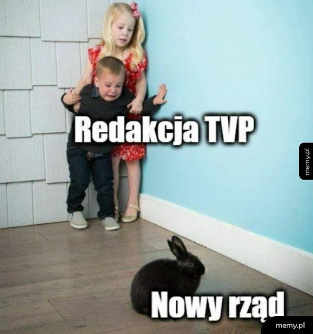 Redakcja TVP