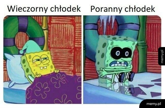 Coraz chłodniejsze te poranki