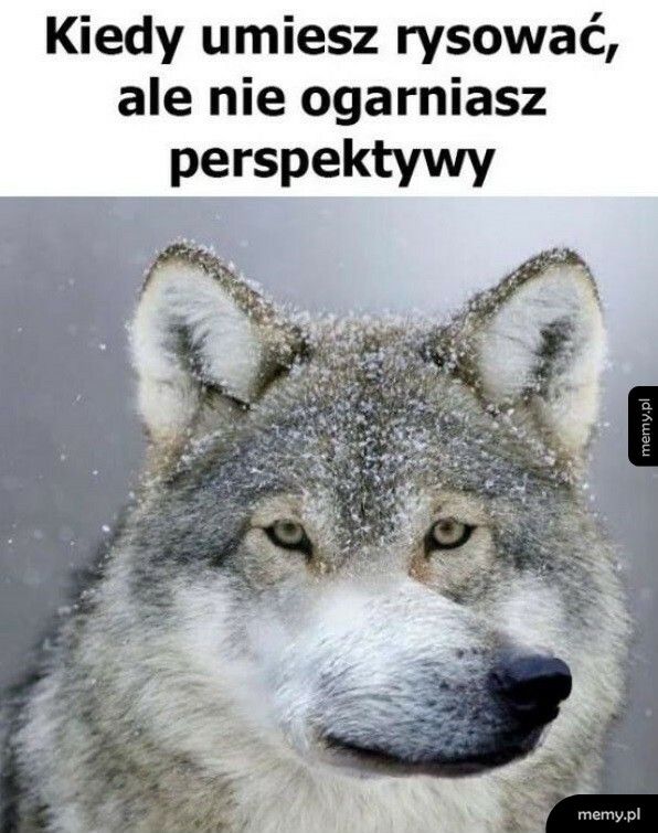 Perspektywa