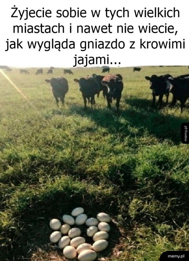 To już wiecie