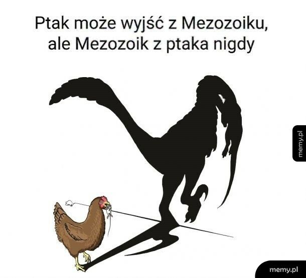 Mezozoik