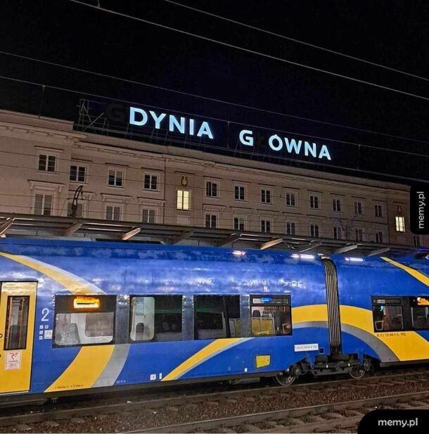 (G) dynia G (ł) ówna