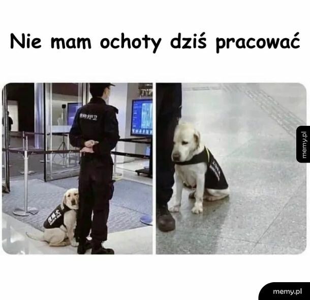 Czasami w pracy