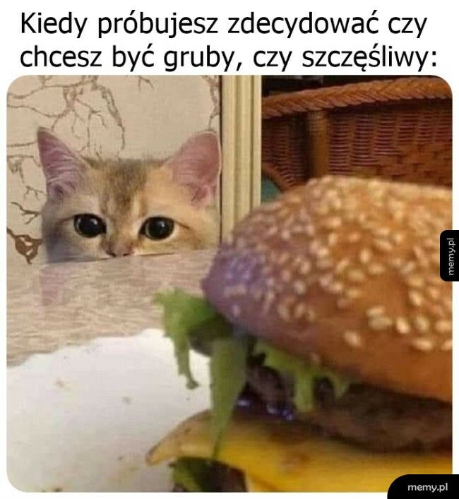 Czas decyzji