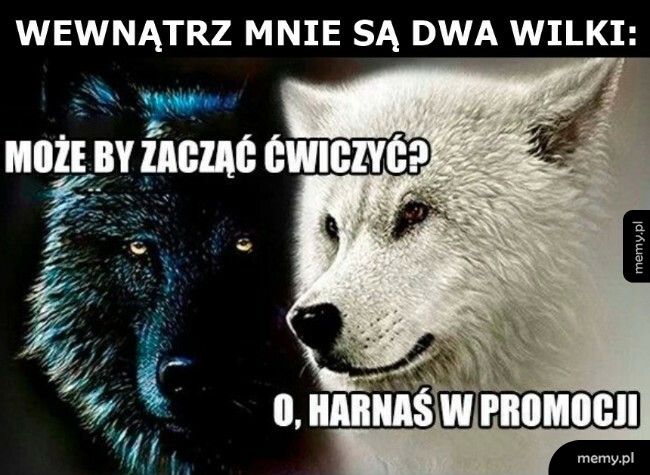 Dwa wilki