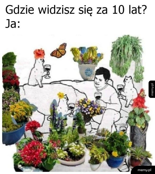 Jest pewna perspektywa