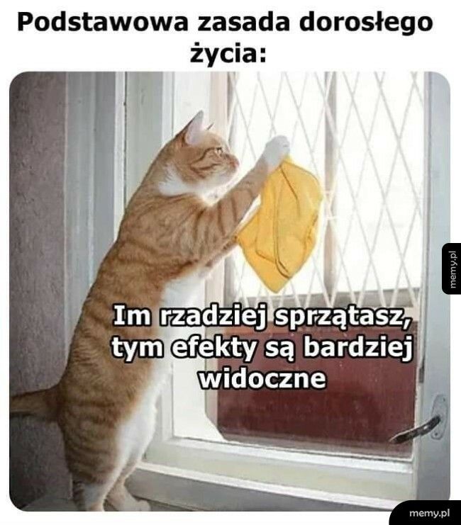 Co za różnica