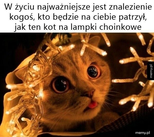 Prawdziwa miłość