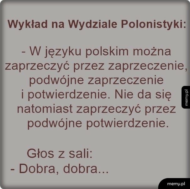 Wykład na Wydziale Polonistyki