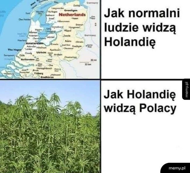 Holandia