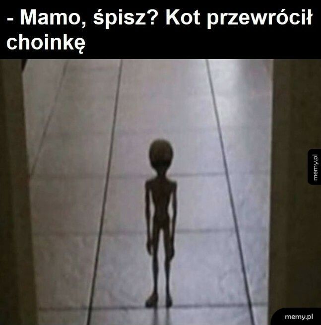 Tak tylko mówię