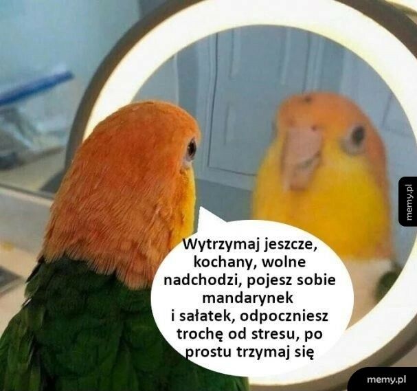 Jeszcze momencik