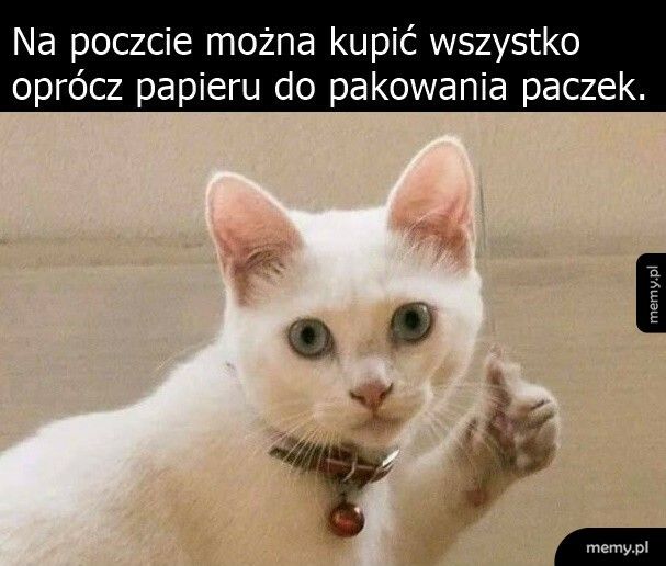 Zakupy na poczcie