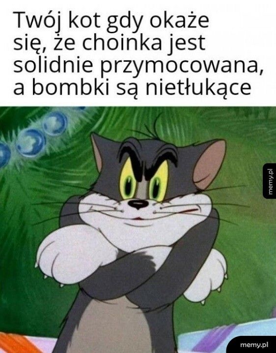 W tym roku choinka nie zemdleje