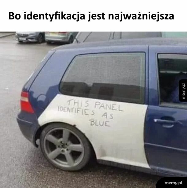 Identyfikacja