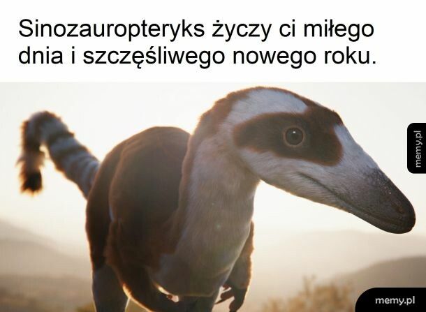 Będzie dobrze