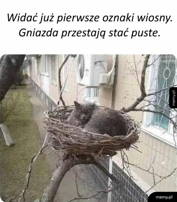 Wiosna tuż, tuż.