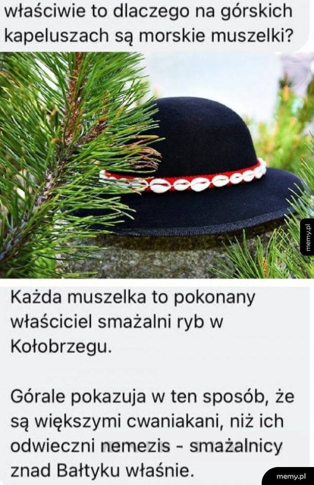 Muszelki na górskich kapeluszach