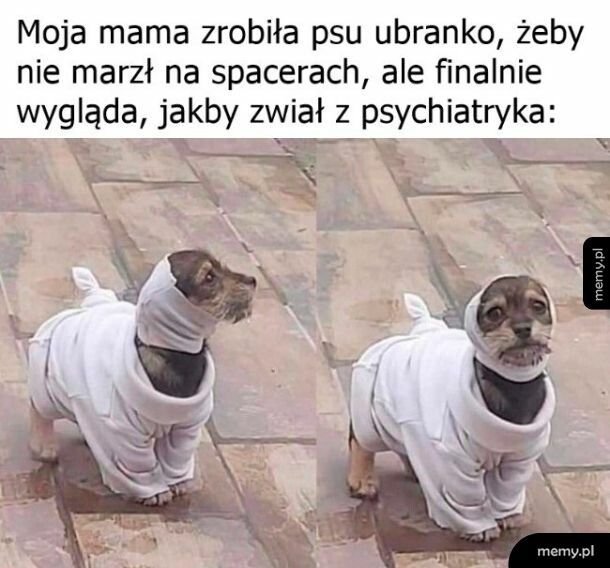 Psychiatryk