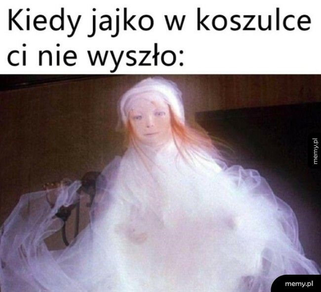 Jajko w koszulce