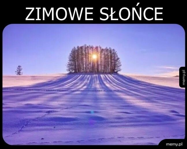 Zimowe słońce