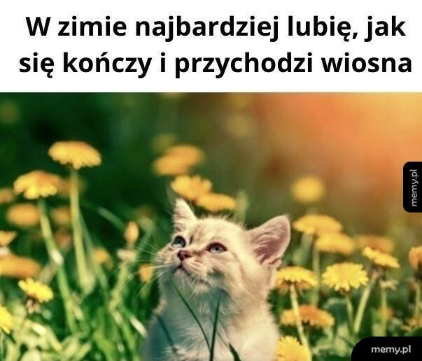 Najlepsza rzecz w zimie