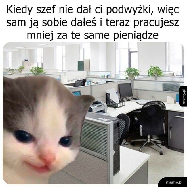 Podwyżka